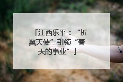 江西乐平：“折翼天使”引领“春天的事业”
