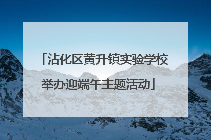 沾化区黄升镇实验学校举办迎端午主题活动