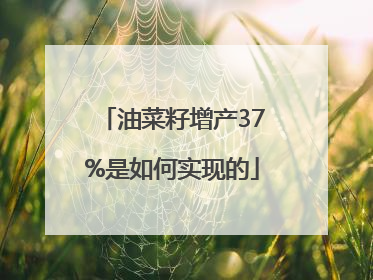 油菜籽增产37%是如何实现的
