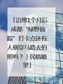 治理1个月后 成都“绿野仙踪”打卡点还有人横穿马路去拍照吗？｜民情瞭望