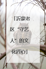 沂蒙老区“守艺人”的文化匠心