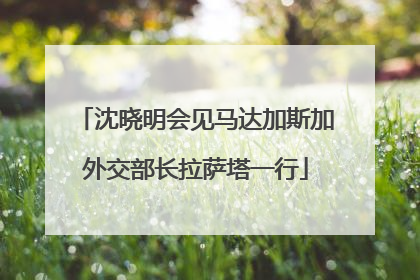 沈晓明会见马达加斯加外交部长拉萨塔一行