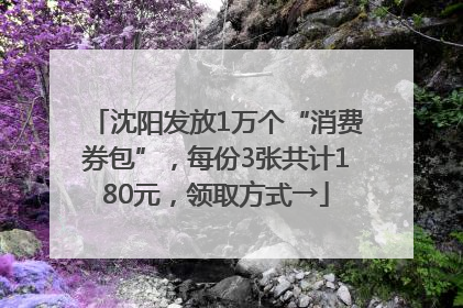 沈阳发放1万个“消费券包”，每份3张共计180元，领取方式→