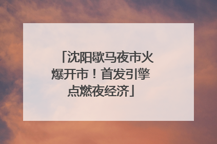 沈阳歇马夜市火爆开市！首发引擎点燃夜经济