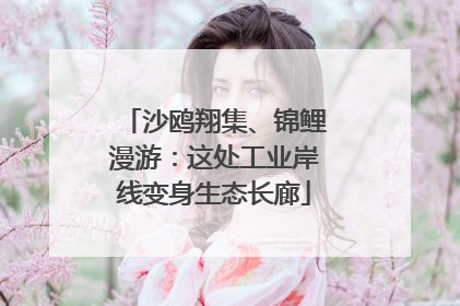 沙鸥翔集、锦鲤漫游：这处工业岸线变身生态长廊