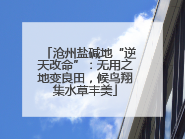 沧州盐碱地“逆天改命”：无用之地变良田，候鸟翔集水草丰美