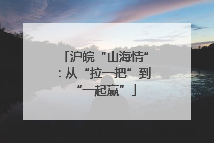 沪皖“山海情”：从“拉一把”到“一起赢”