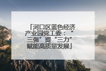 河口区蓝色经济产业园党工委：“三强”提“三力”赋能高质量发展