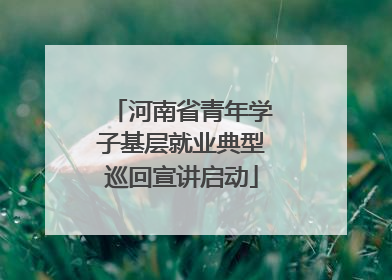 河南省青年学子基层就业典型巡回宣讲启动