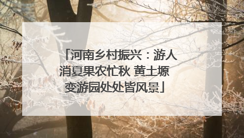 河南乡村振兴：游人消夏果农忙秋 黄土塬变游园处处皆风景