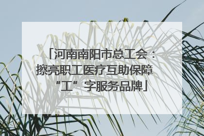 河南南阳市总工会：擦亮职工医疗互助保障“工”字服务品牌