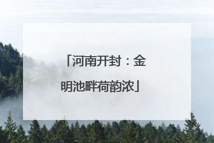 河南开封：金明池畔荷韵浓