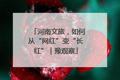 河南文旅，如何从“网红”变“长红”｜豫观察