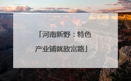 河南新野：特色产业铺就致富路