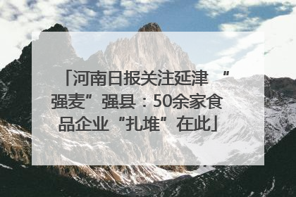 河南日报关注延津 “强麦”强县：50余家食品企业“扎堆”在此