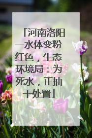 河南洛阳一水体变粉红色，生态环境局：为死水，正抽干处置