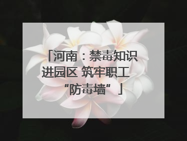 河南：禁毒知识进园区 筑牢职工“防毒墙”