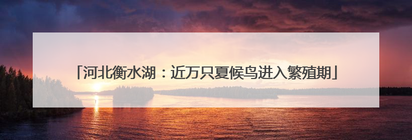 河北衡水湖：近万只夏候鸟进入繁殖期