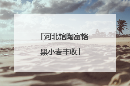 河北馆陶富铬黑小麦丰收
