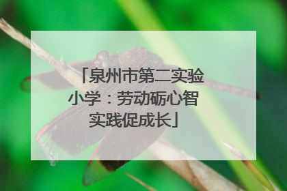 泉州市第二实验小学：劳动砺心智实践促成长