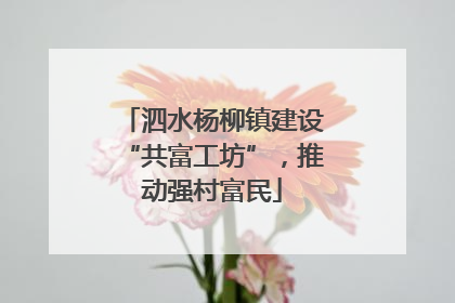 泗水杨柳镇建设“共富工坊”，推动强村富民