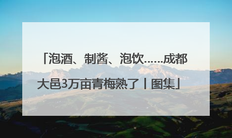泡酒、制酱、泡饮……成都大邑3万亩青梅熟了丨图集