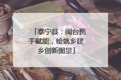 泰宁县：闽台携手赋能，绘就乡建乡创新图景