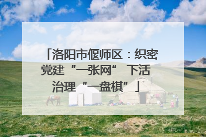 洛阳市偃师区：织密党建“一张网” 下活治理“一盘棋”