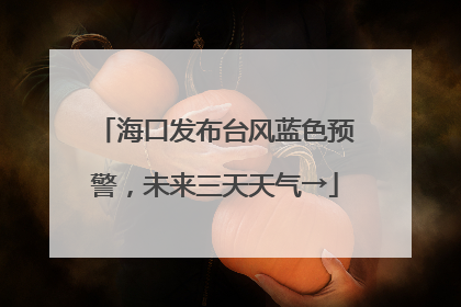 海口发布台风蓝色预警，未来三天天气→