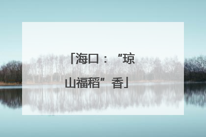 海口：“琼山福稻”香