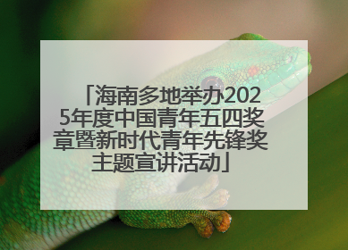 海南多地举办2025年度中国青年五四奖章暨新时代青年先锋奖主题宣讲活动