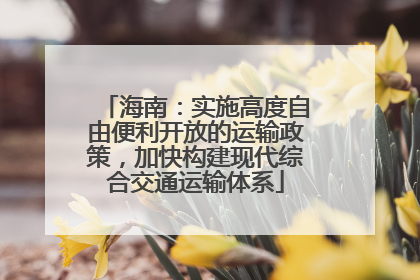 海南：实施高度自由便利开放的运输政策，加快构建现代综合交通运输体系