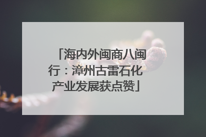 海内外闽商八闽行：漳州古雷石化产业发展获点赞
