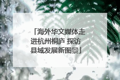 海外华文媒体走进杭州桐庐 探访县域发展新图景