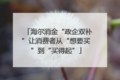 海尔消金“政企双补”让消费者从“想要买”到“买得起”