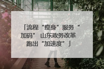 流程“瘦身”服务“加码” 山东政务改革跑出“加速度”