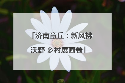 济南章丘：新风拂沃野 乡村展画卷