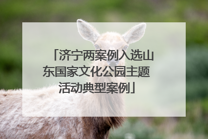 济宁两案例入选山东国家文化公园主题活动典型案例