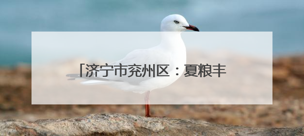 济宁市兖州区：夏粮丰收背后有“智慧田管”