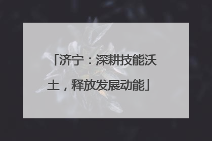 济宁：深耕技能沃土，释放发展动能