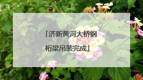 济新黄河大桥钢桁梁吊装完成