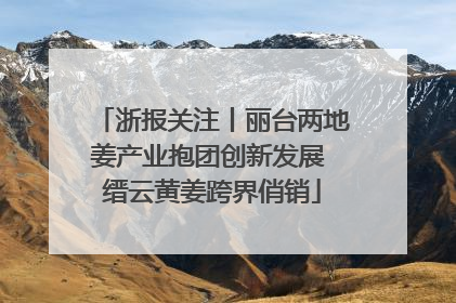 浙报关注丨丽台两地姜产业抱团创新发展 缙云黄姜跨界俏销