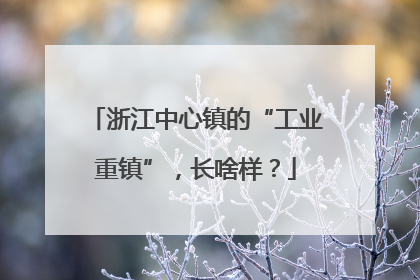 浙江中心镇的“工业重镇”，长啥样？