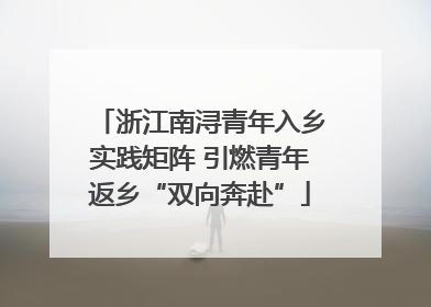 浙江南浔青年入乡实践矩阵 引燃青年返乡“双向奔赴”