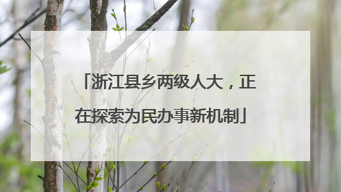 浙江县乡两级人大，正在探索为民办事新机制