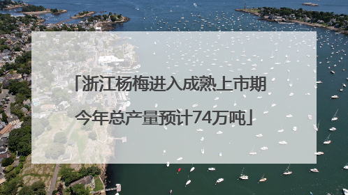 浙江杨梅进入成熟上市期 今年总产量预计74万吨