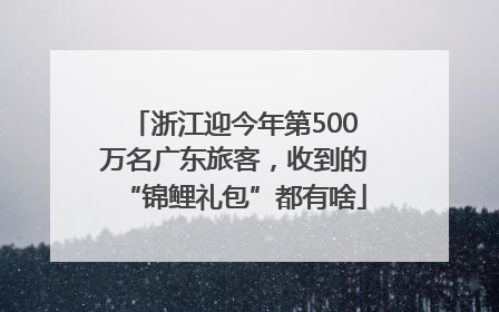 浙江迎今年第500万名广东旅客，收到的“锦鲤礼包”都有啥