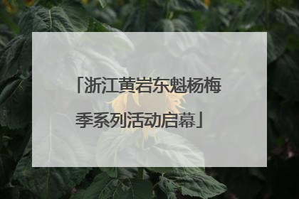 浙江黄岩东魁杨梅季系列活动启幕