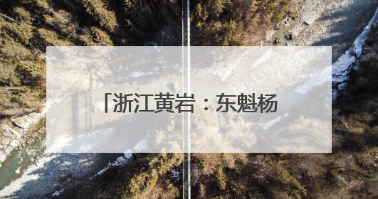 浙江黄岩：东魁杨梅进入集中采摘期