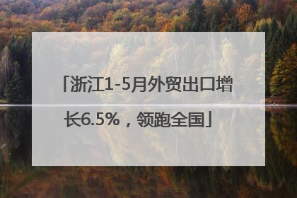 浙江1-5月外贸出口增长6.5%，领跑全国